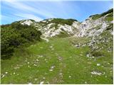 Planina Podvežak - Kocbekov dom na Korošici